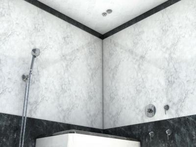 Bathology_AquaTexture320_RainShowerSystems_7