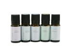 MrSteam_103810_Aromatherapy_1
