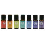 MrSteam_104006_Aromatherapy_1