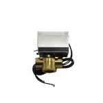 Steamist_AD-900-240v_AutoDrainSystem_1