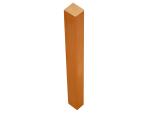 Bathology_Wood413_Wood_1
