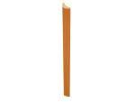 Bathology_Wood417_Wood_1